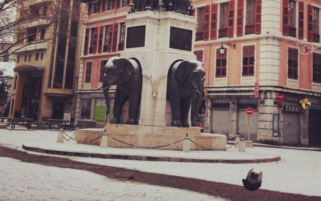 neige-elephants