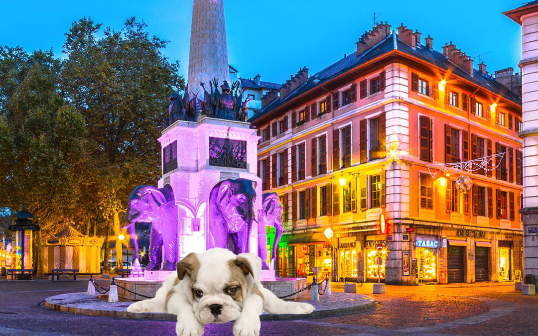 chiot
