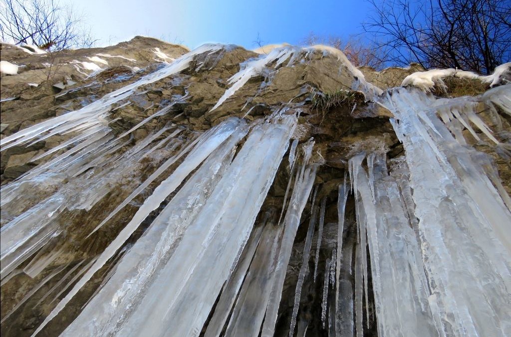 Glace en Chartreuse par Alain Guillard