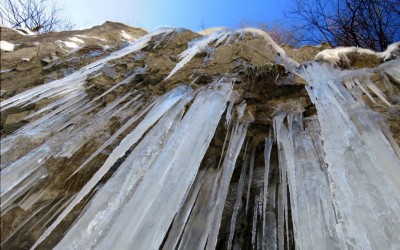 Glace en Chartreuse par Alain Guillard