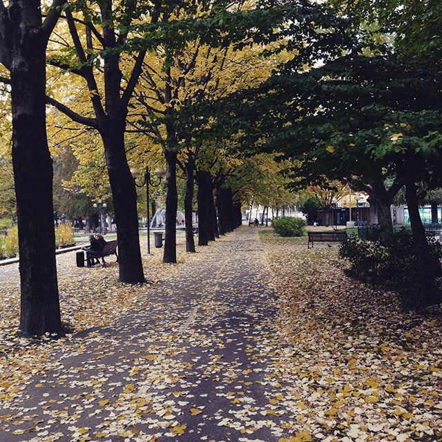 Plus belle vidéo d’automne à Chambéry !