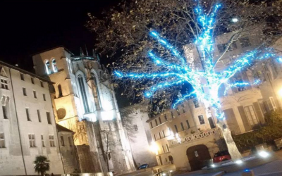 Envoyez votre photo d’arbre de Noël Chambérien