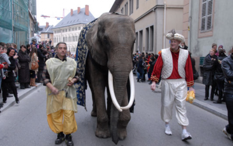 carnaval-elephants